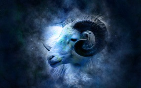 Beautiful zodiac sign Aries