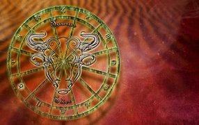 Zodiac sign Taurus on orange background