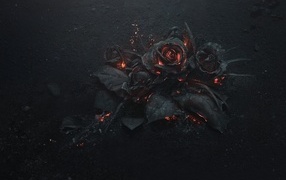 Black burnt 3D roses