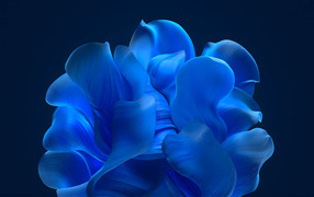 Blue 3D flower on a blue background