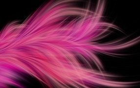 Pink fractal feather on black background