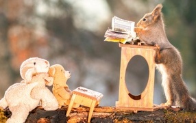 Little squirrel reading a book to toys