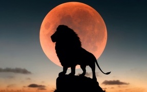Большой лев стоит на камне на фоне луны