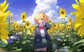 Anime girl on the field with sunflowers