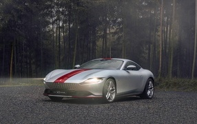Ferrari Roma 30th Anniversary 2023 car in the forest