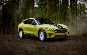 Автомобиль Ford Mustang Mach-E Rally 2024 года в лесу