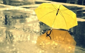 A yellow umbrella lies on the wet asphalt