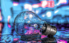 Glass light bulb lies on the wet road