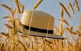 Straw hat on a field with wheat