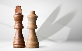 Two wooden chess figures on a gray background
