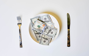 Dollars on a plate on a gray background with cutlery