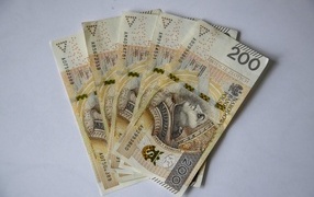 Польские банкноты на сером фоне