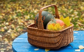 Basket with pumpkin in autumn