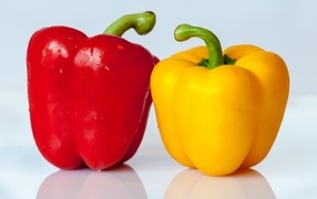Big red and yellow peppers on a gray background
