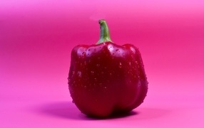 Big red pepper on a pink background