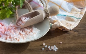 Coarse salt on a plate on the table