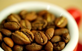Coffee grains with white mug close up