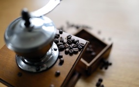 Coffee grinder on the table with grains