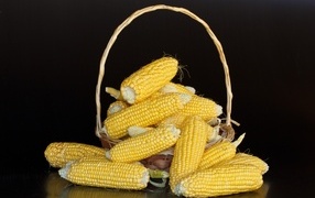 Кукуруза в корзине на черном фоне