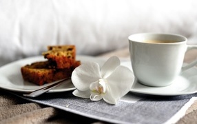 Cup of coffee with orchid flower and piece of cupcake