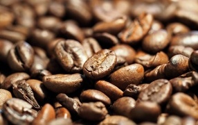 Fragrant roasted coffee beans