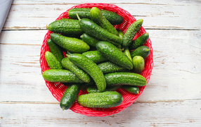 Fresh green cucumbers in a basket on the table