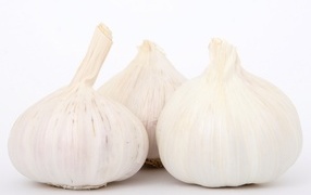Large fragrant garlic on a white background