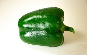Large green pepper on a white background