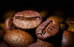 Large roasted aromatic coffee beans