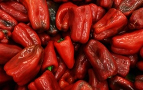 Large sweet bell pepper