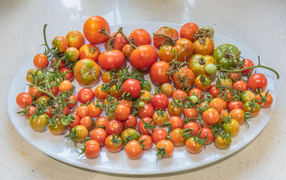 Большая белая тарелка с красными помидорами