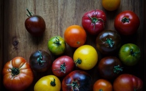 Multi-colored tomatoes on a wooden table