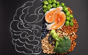 Nuts, fish and vegetables for the proper functioning of the human brain