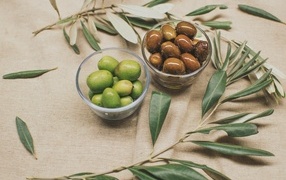 Оливки на столе с ветками