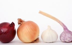 Onion with garlic on a white background