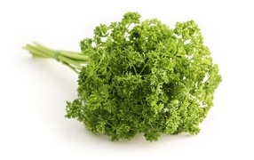 Parsley greens on a white background