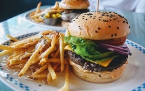 Plate with hamburger and fries