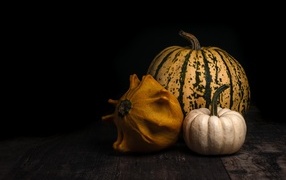 Pumpkin and patisson on a black background