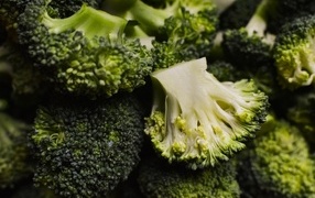 Сырой полезный овощ брокколи