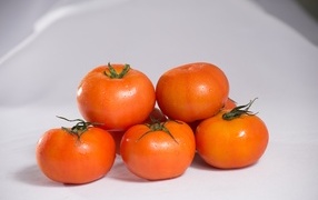 Спелые чистые красные помидоры