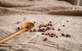 Wooden spoon on tablecloth with beans