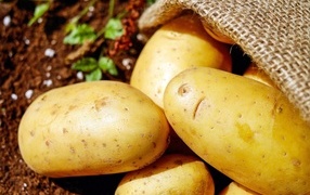 Young potatoes in a bag close-up