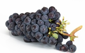 Bunch of ripe pink grapes on a white background