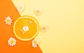 Кружок апельсина с цветами хризантемы