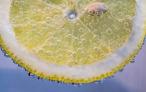 Кружок лимона в каплях воды на голубом фоне