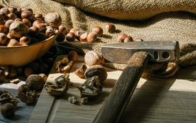 Грецкие орехи и фундук на столе с молотком