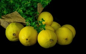 Желтые лимоны с зеленью на столе