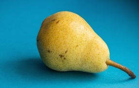 Yellow pear on a blue background
