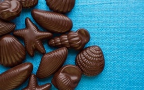 Шоколадные конфеты в форме ракушек на голубом фоне