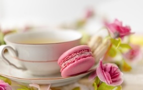 Cup of tea with macaron dessert and rose flowers